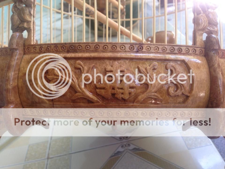 Lồng Nu Mẹ Thiên Nhiên tạo hóa bởi trí óc con người ! - 15