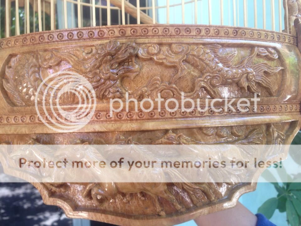 Lồng Nu Mẹ Thiên Nhiên tạo hóa bởi trí óc con người ! - 14