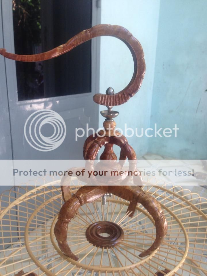 Lồng Nu Mẹ Thiên Nhiên tạo hóa bởi trí óc con người ! - 13