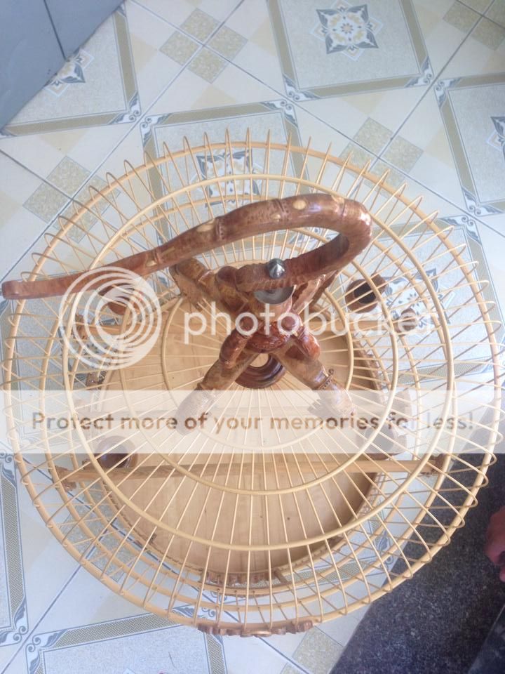 Lồng Nu Mẹ Thiên Nhiên tạo hóa bởi trí óc con người ! - 12