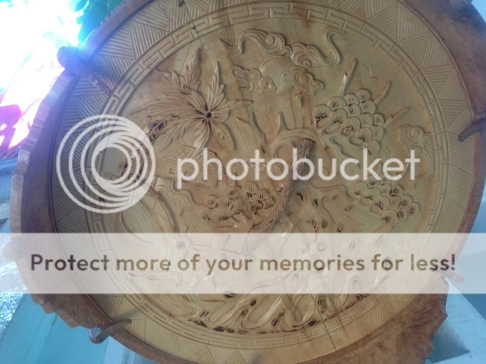 Lồng Nu Mẹ Thiên Nhiên tạo hóa bởi trí óc con người ! - 16