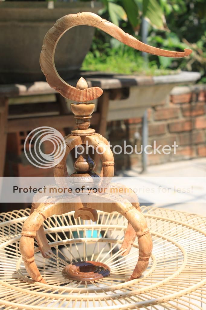 Lồng Nu Mẹ Thiên Nhiên tạo hóa bởi trí óc con người ! - 3