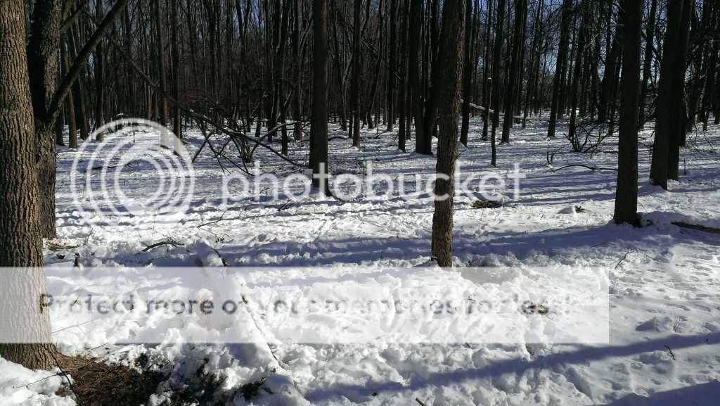 Posted Image