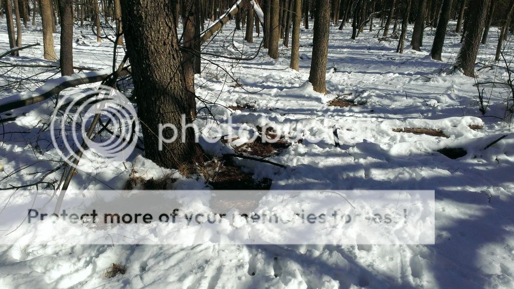 Posted Image