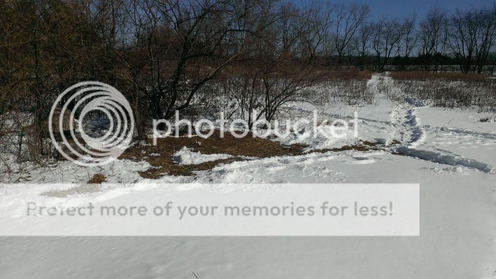 Posted Image