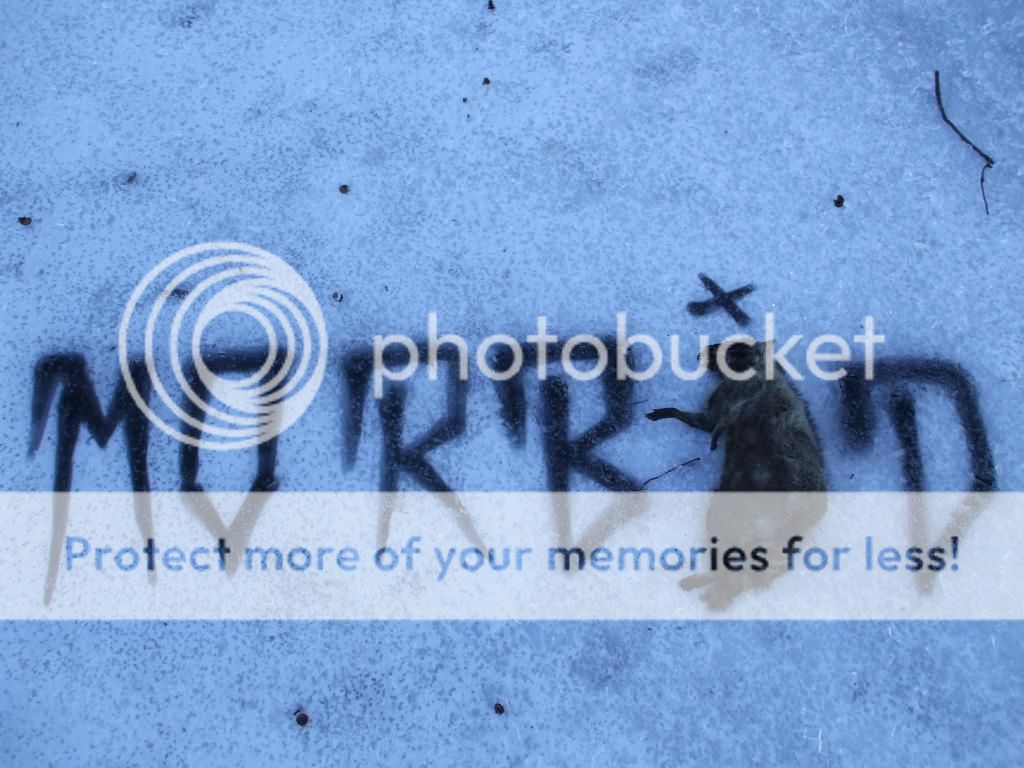 Posted Image
