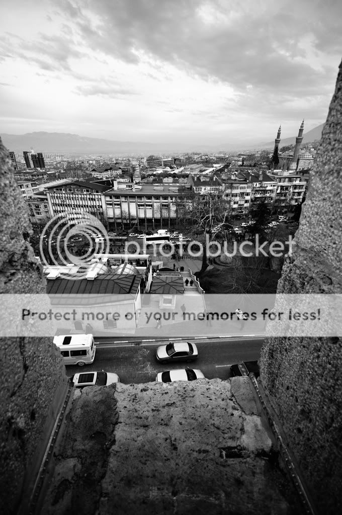 structure of arteries veins and. +arteries+veins+and+