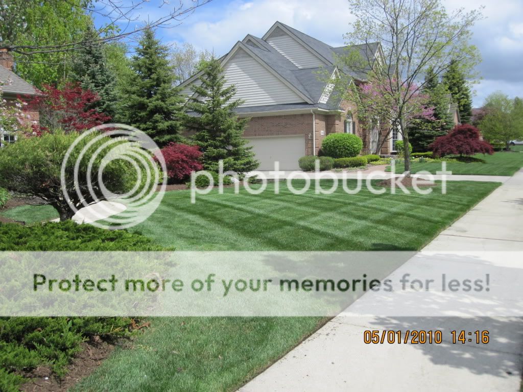 pro turf landscape