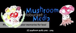 Mushroom Media Official Logo