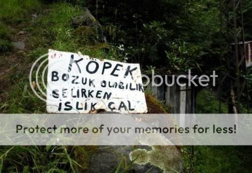 Bozuk-kopek-1.jpg