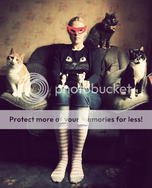 cats_08.jpg