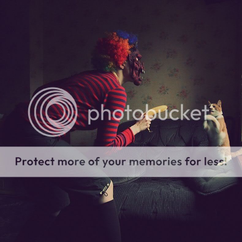 cats_09.jpg