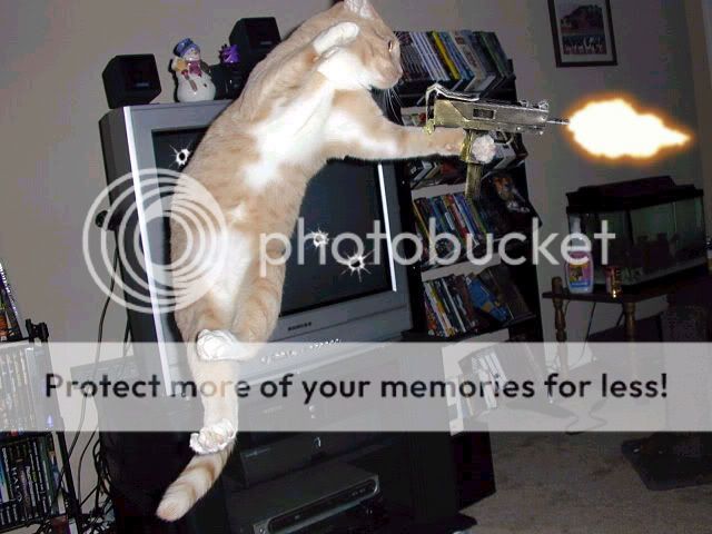 chowyuncatgx2.jpg