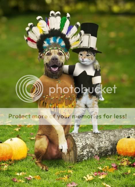 wed-cat20and20dog-interfaith.jpg