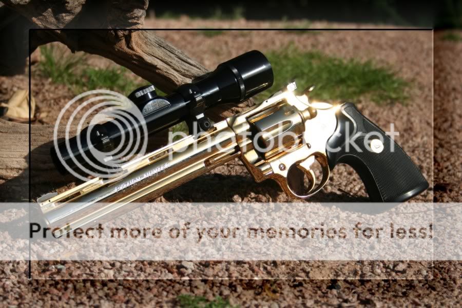 Python Scope Mount? | Colt Forum